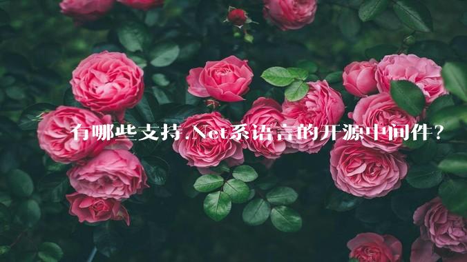 有哪些支持.Net系语言的开源中间件？