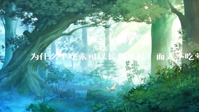 为什么牛吃素可以长那么壮？而人不吃荤就不行？