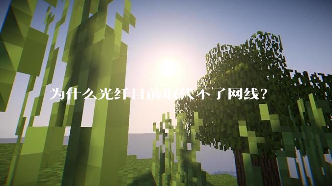 为什么光纤目前取代不了网线？