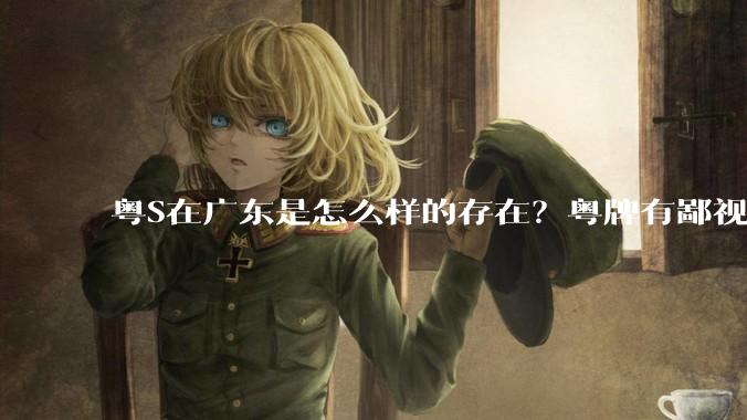 粤S在广东是怎么样的存在？粤牌有鄙视链吗？