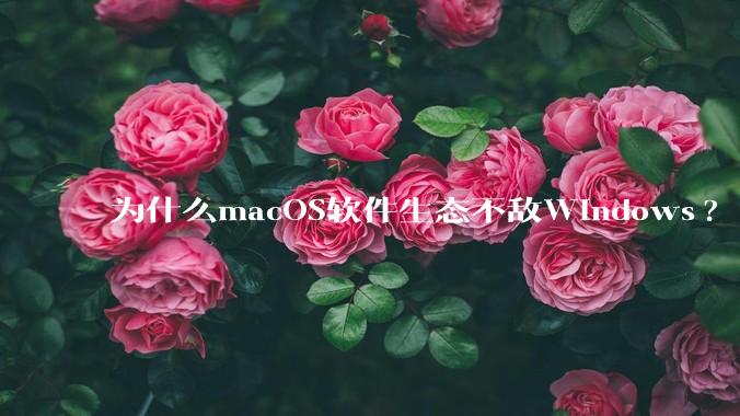 为什么macOS软件生态不敌Windows?