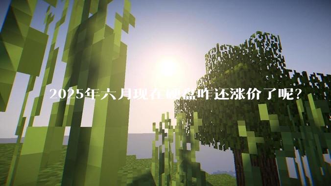 2025年六月现在硬盘咋还涨价了呢？