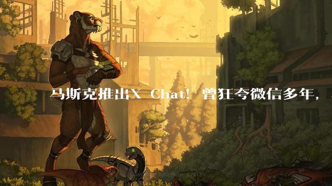 马斯克推出X Chat！曾狂夸微信多年，真能做成美版微信？_用户_功能_中国
