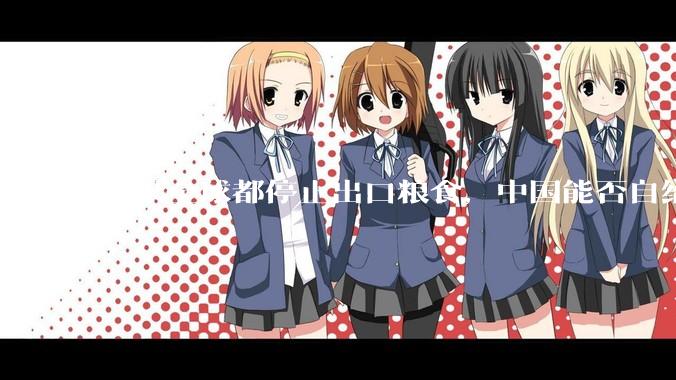 如果全球都停止出口粮食，中国能否自给自足？