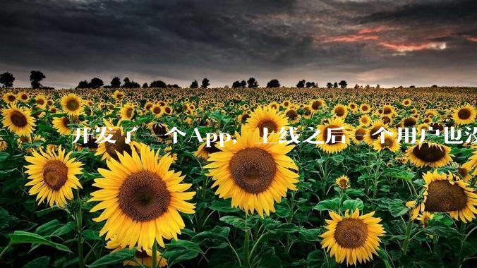 开发了一个App，上线之后一个用户也没有怎么办?