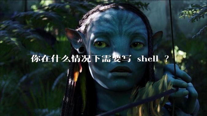 你在什么情况下需要写 shell ？