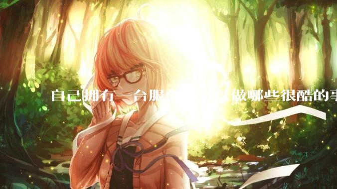 自己拥有一台服务器可以做哪些很酷的事情？