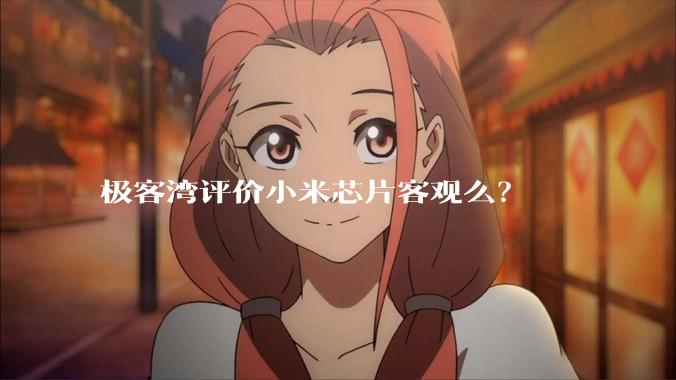 极客湾评价小米芯片客观么？