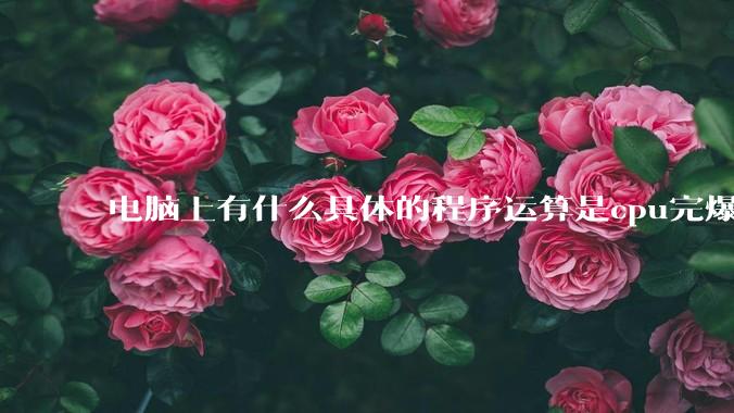 电脑上有什么具体的程序运算是cpu完爆gpu的？